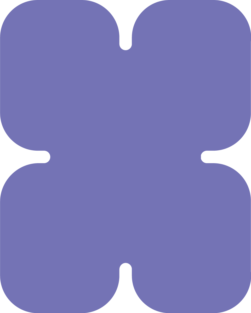 Trilingual Programme